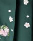 卒業式袴単品レンタル[刺繍]朱色×緑ぼかしに桜刺繍[身長153-157cm]No.578